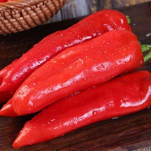 【现发 顺丰直达】大凉山红辣椒3斤 新鲜蔬菜 现摘现发团购_高品质