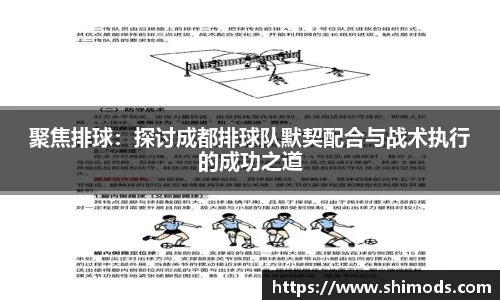 聚焦排球:探讨成都排球队默契配合与战术执行的成功之道