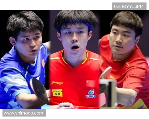 南京乒乓球队在杯赛中的速度表现分析与精彩瞬间回顾