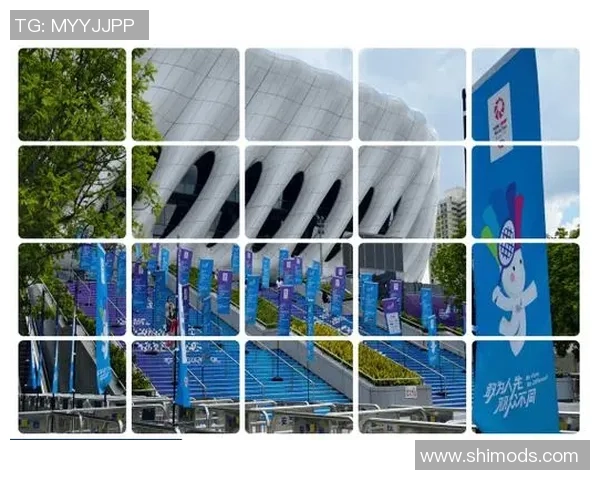 深圳羽毛球队的拼搏历程与大师赛荣耀之路探秘