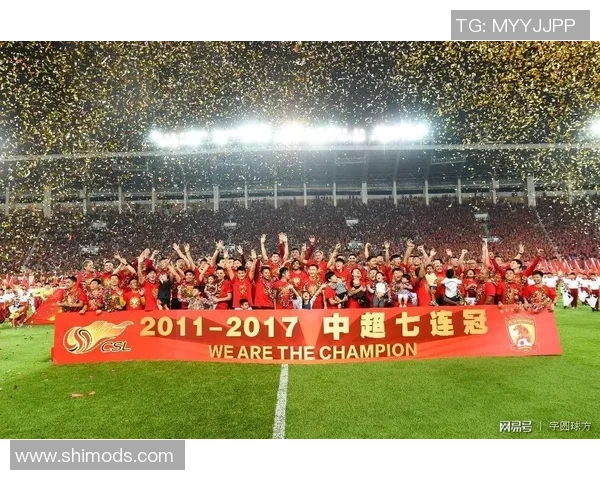 韦姓足球明星的辉煌历程与成就分析